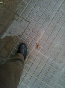 Un cargol d'uns déu centímetres al costat del meu peu dret, sobre el carrer mullat.