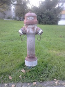 Boca de rec, solitària, vella i gastada, enmig d'una zona ajardinada.