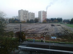 La pastura què acaben d'abonar, allí hi ha més clapes de terra i es nota més.