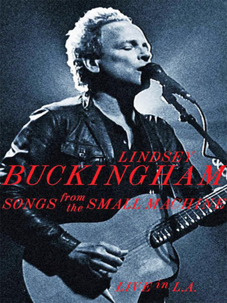 Portada del DVD Songs from the Small Machine, amb un retrat de Lindsey Buckingham